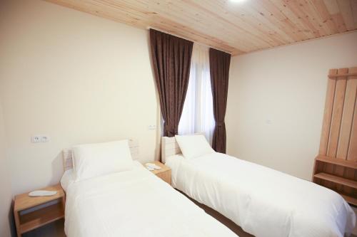 2 twin beds