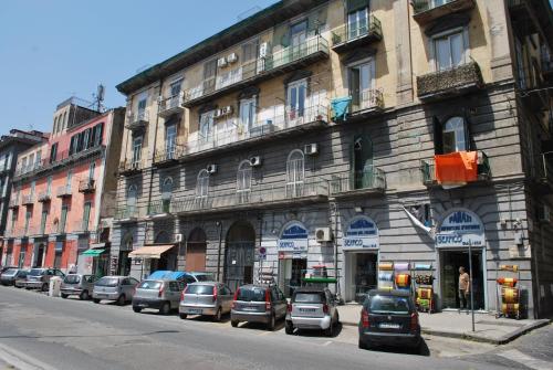 Alpivida Home 2