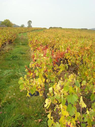 Chambre d'hôtes Les Plaisances