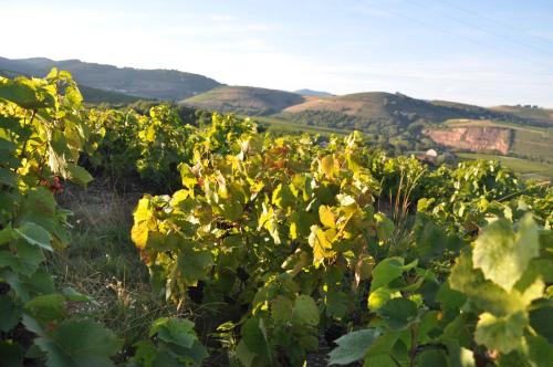 Chambre d'hôtes Les Plaisances