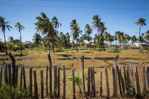Casa de Praia Mico Leao