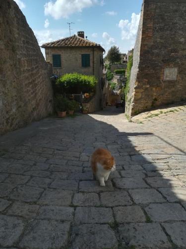 Vicolo dei Ciliegini, 10