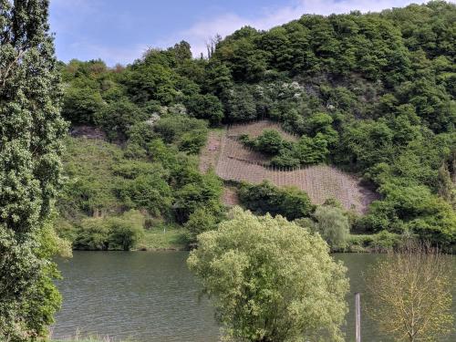 Ferienwohnung "Zum Klosterruinenblick"