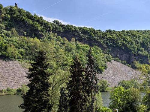 Ferienwohnung "Zum Klosterruinenblick"