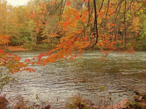 Paddler's Lane Retreat - image 4