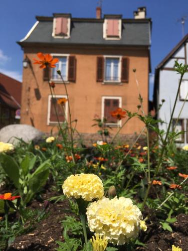 Finala Colmar, Colmar (zdjęcie 8)