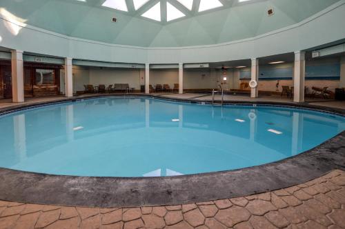 Royal Gulf Beach & Racquet Club #5102 Condo - image 6