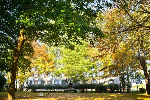 . Los Vagones de Areco
