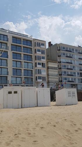 Zeedijk 241, uitzicht op zee, vue sur la mer, Koksijde (foto 8)