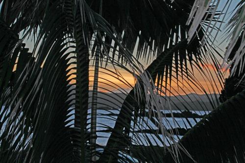 Driftwood Beachfront Accommodation, Cable Bay, Owhetu