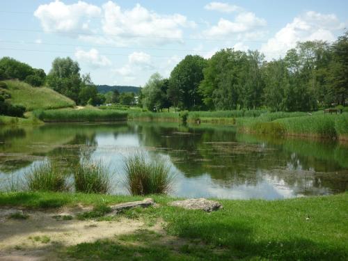 L'Orée du Parc à Belfort