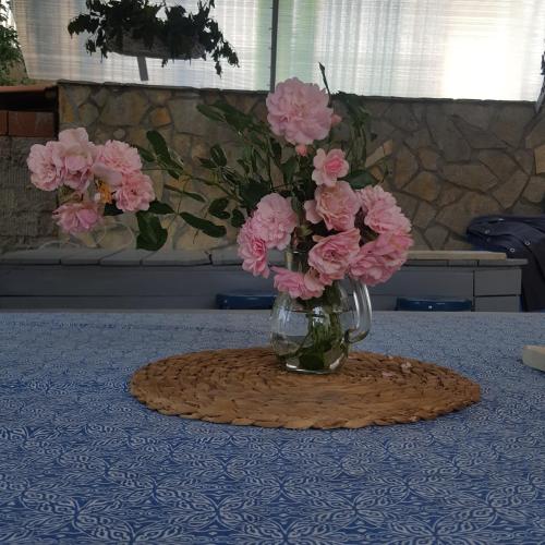 斯堪迪1號公寓