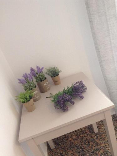  Pansion Kaloyiannis in Patitiri