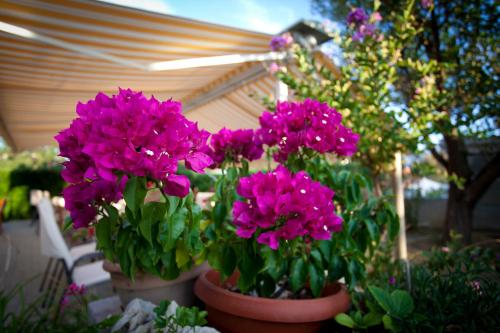 Pansion Burin - image 8