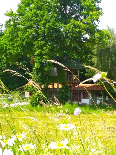 Tree house Ramona & Fairytale wooden house by Ljubljana