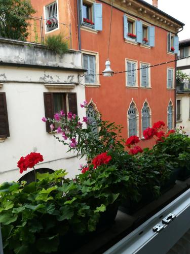 A casa di Luca 3