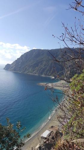 Appartamento LE CONCHIGLIE Monterosso al mare
