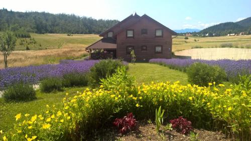  Boutique  Japodi B&B, Pension in Mrkopalj