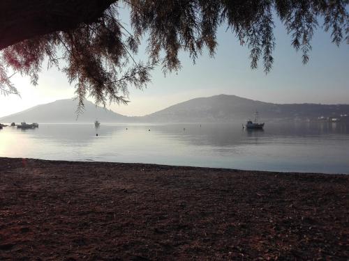 Leros Eleonas Apartments