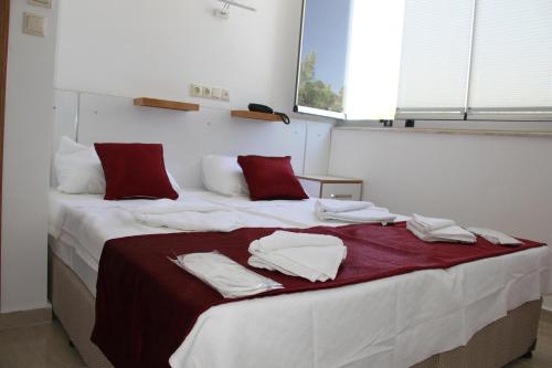 AELBİSTAN OTEL - image 3