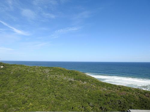 Wilderness Beach Views