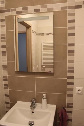 Big Apartment 291 - Rezidence Eliska Prague 9, Praha (fotografie 10)