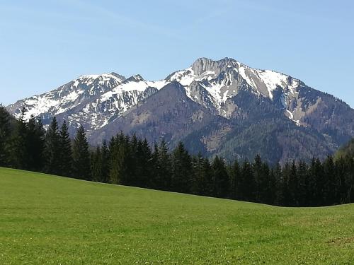 Appartment Haring in Hollenstein / Ybbs