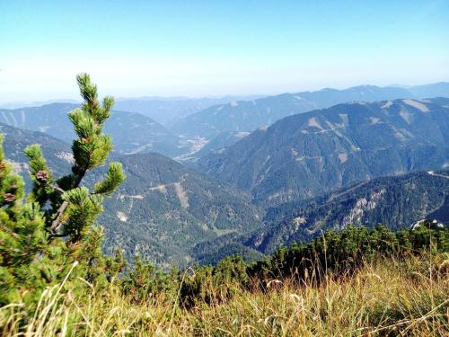 Appartment Haring in Hollenstein / Ybbs