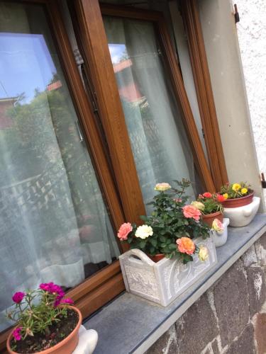 Il Ghiro B&B in Riccò del Golfo di Spezia