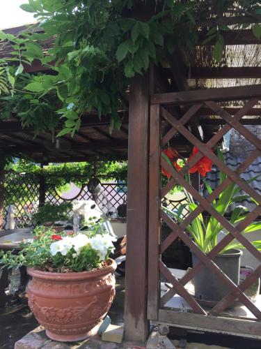 Il Ghiro B&B 5