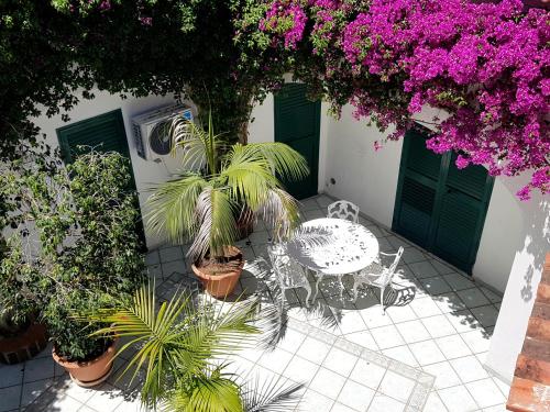 One-Bedroom Apartment image 1