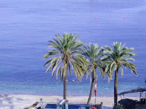 Double Room with Terrace and Sea View   image 7