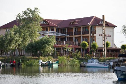 Vila Alga - image 3