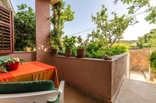 Rooms Roza - image 8