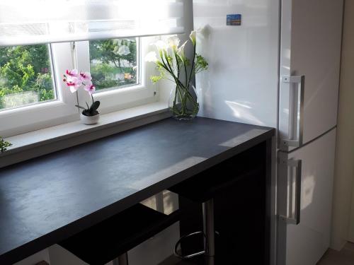  Apartment Lu-Ka in Rijeka