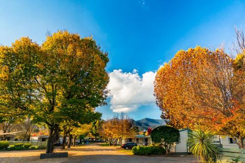 Discovery Parks - Mount Buffalo