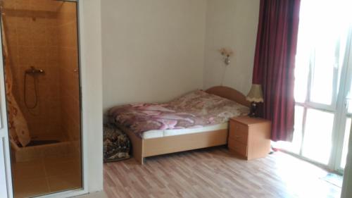 Guest house Tomichka - main image