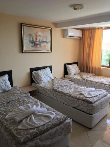 Joro Guest House - image 2