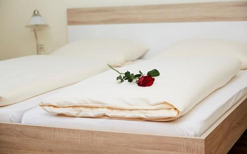 Hotel Landgasthof Wallburg - Eltmann