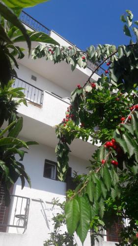  Apartments Lans in Vodice