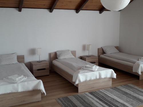 Villa Osa Modlin Airport 3