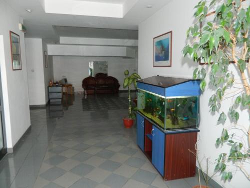 Hotel Iris - image 4