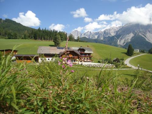 Pension-Greimelbacherhof in Ramsau am Dachstein