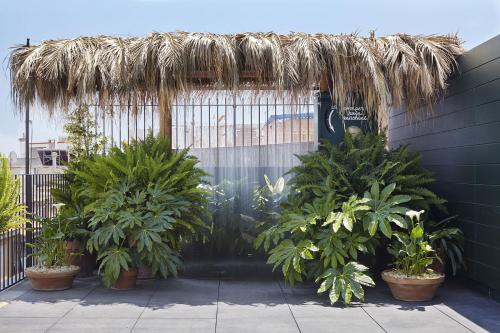 Hotel Casa Camper - image 2