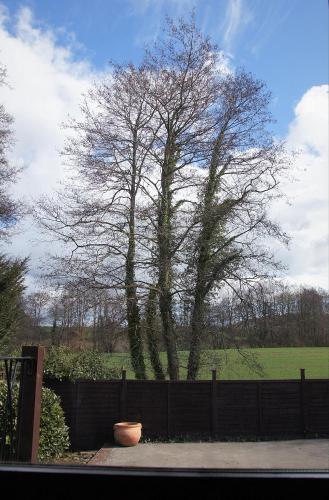 Arrowwood Self Catering (Wagtail and Nuthatch)