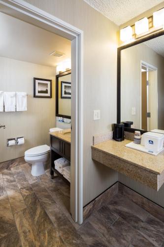 Best Western Ramkota Hotel - image 8