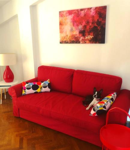  Sunny Corner in City Center with FREE Parking in Pula