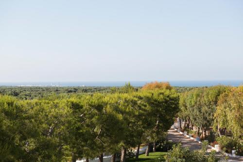 145964712 Masseria San Giovanni - Epoca Collection