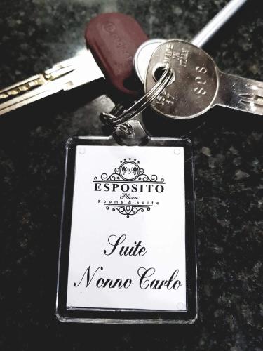 ESPOSITO PLAZA- ROOMS & SUITE - image 11
