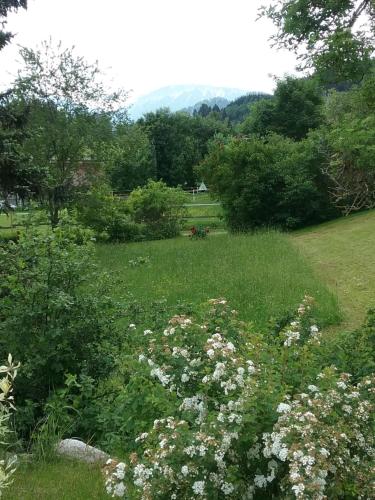 Allgäu Tipp - main image